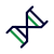 API研发中心